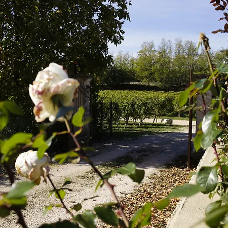 Gospodarstwo agroturystyczne La Fonte Degli Dei (adults Only)